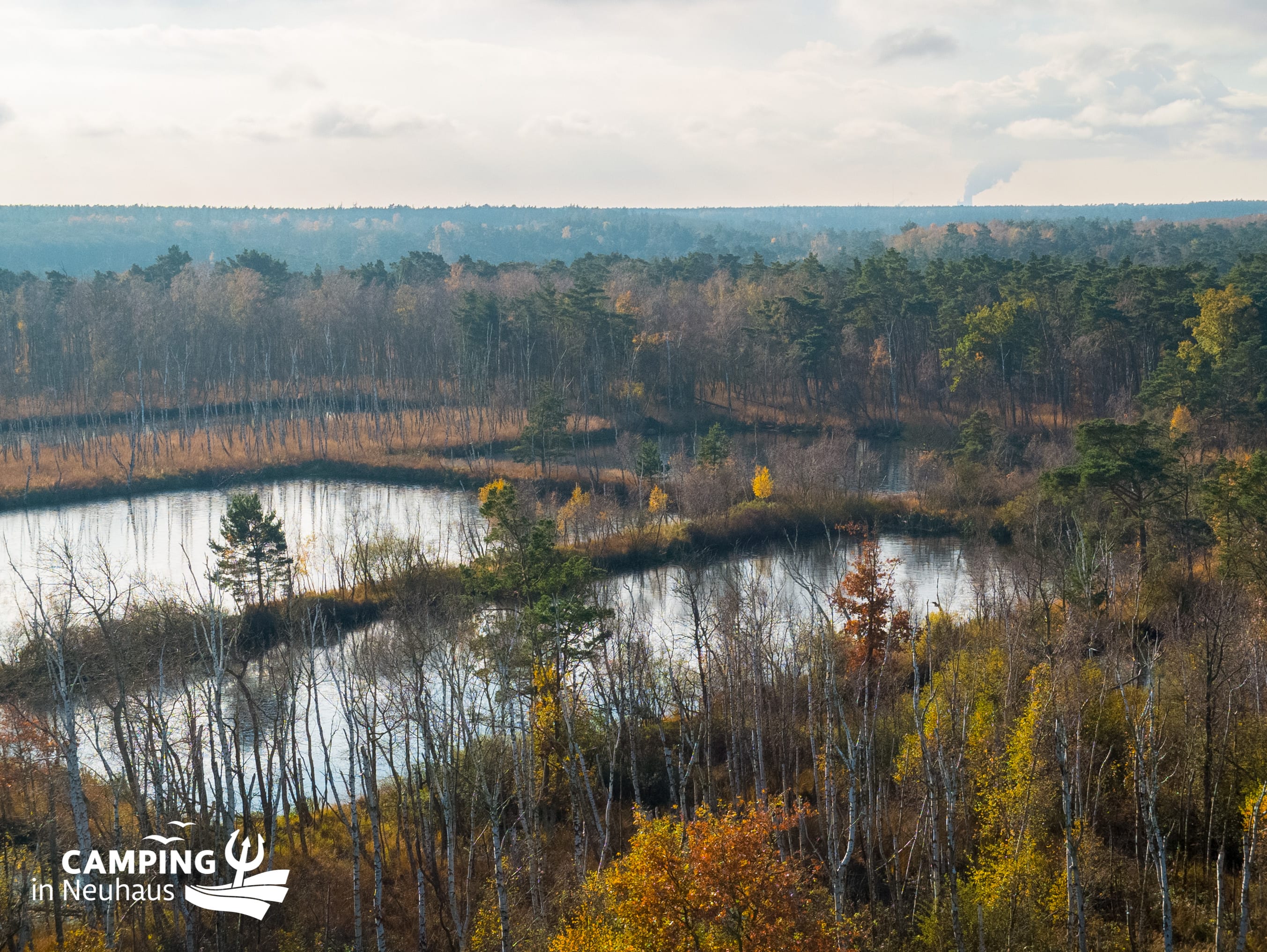 Herbst im großen Ribnitzer Moor