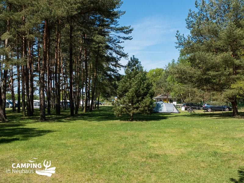 Woodland area for tents at Camping in Neuhaus