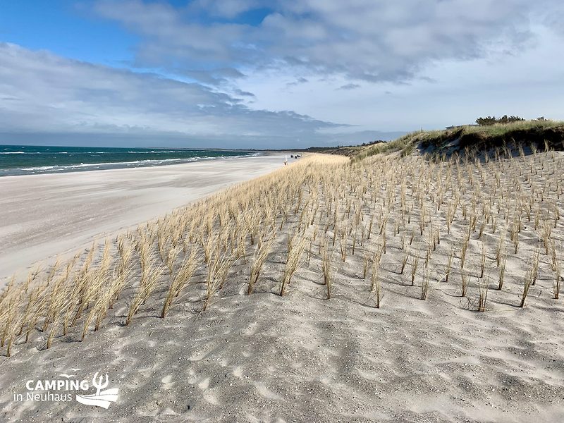 Der Strand im April 2024 II